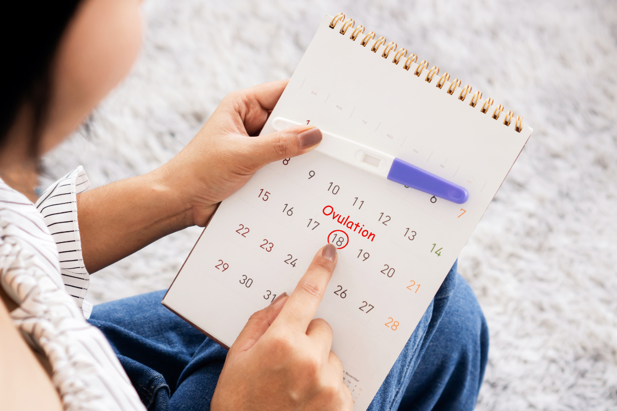 Understanding Ovulation: A Key to Reproductive Health