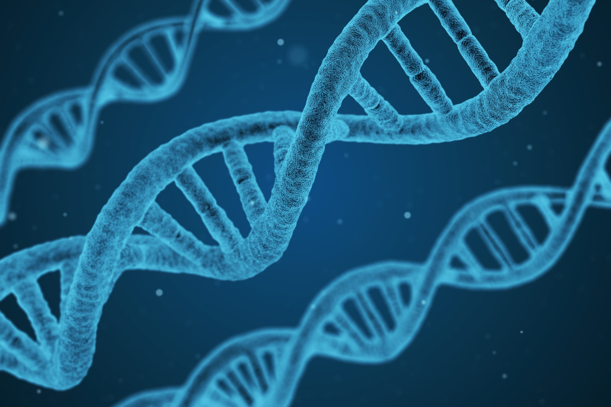 Understanding Sperm DNA Fragmentation