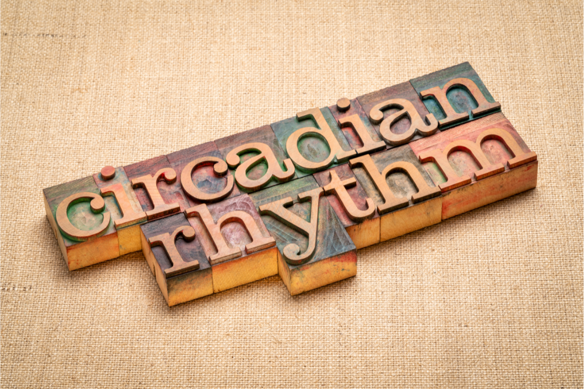 The Role of Sleep and Circadian Rhythm in Reproductive Health