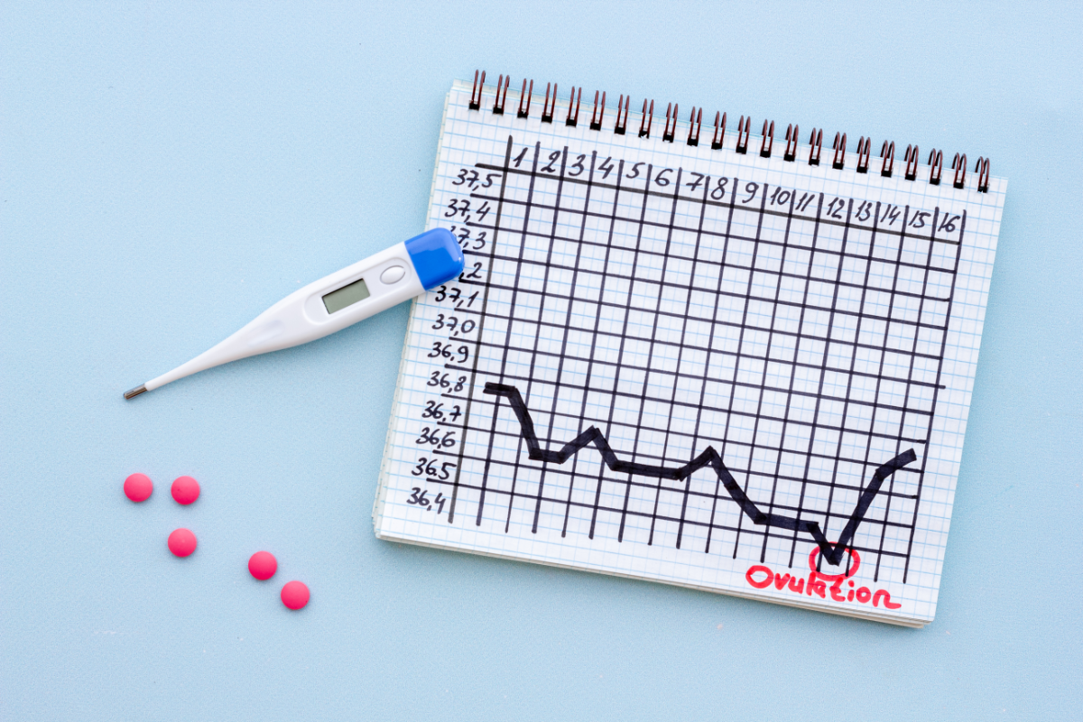 Ovulation Calculator: How Supplements Can Support Regular Cycles and Ovulation