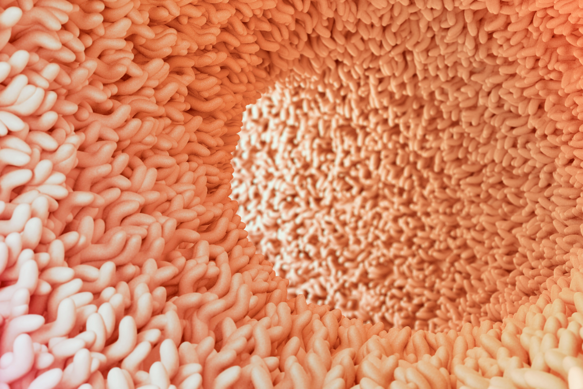 The Role of the Microbiome in Reproductive Health