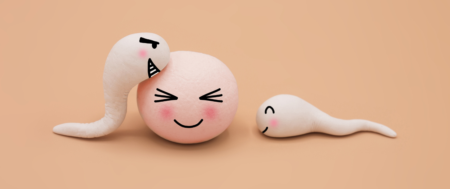 Sperm Count: What does it mean?