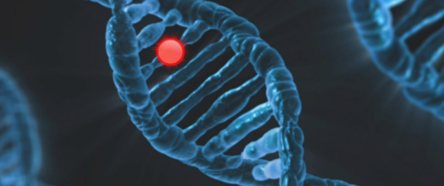 Sperm DNA Fragmentation