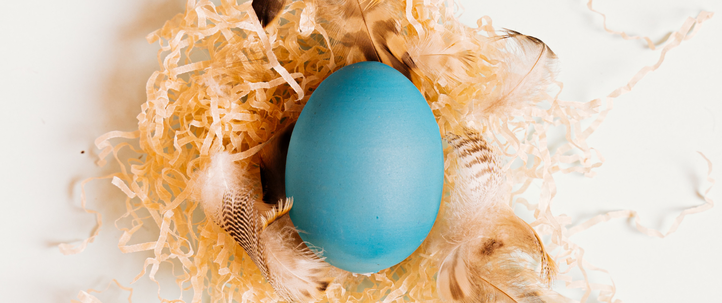 Egg Quality: What It Is and Why It Matters
