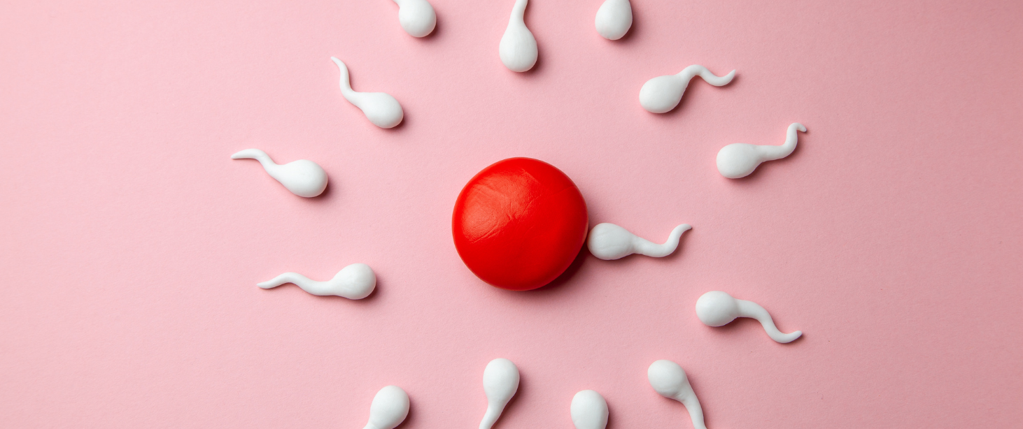 Sperm Motility: What does it mean to be motile?