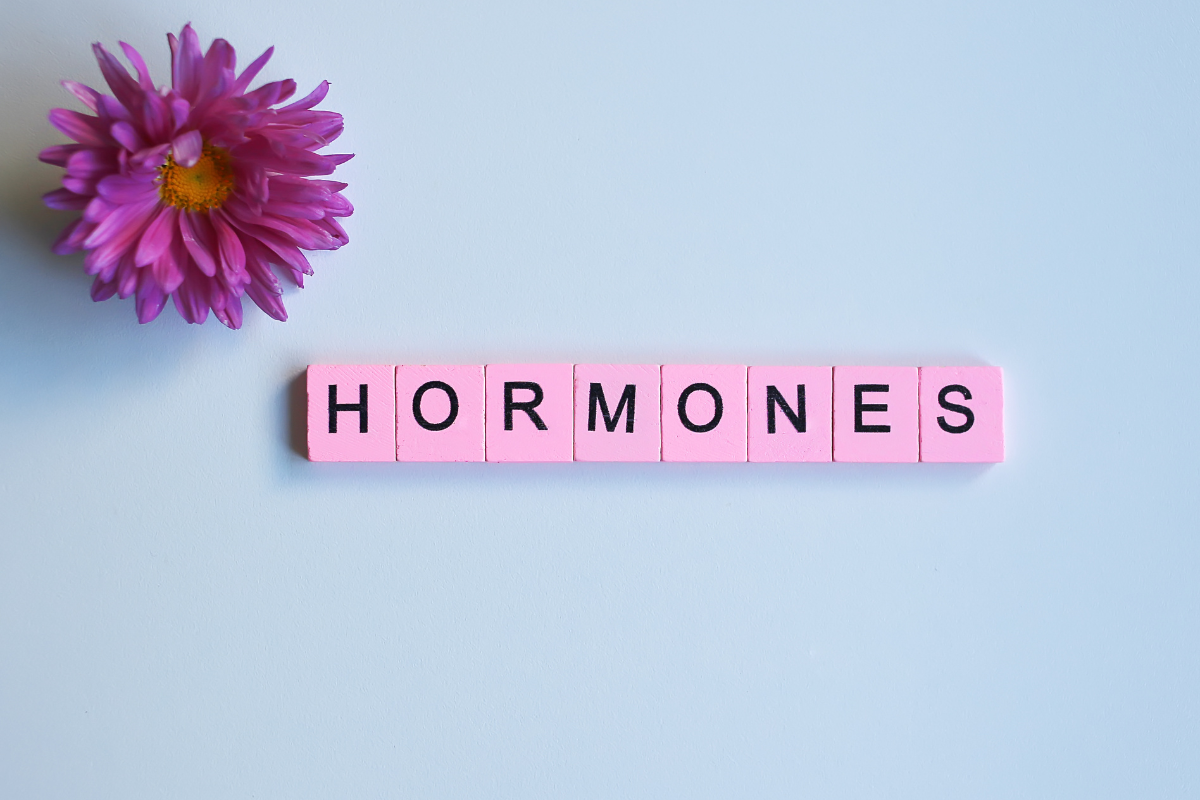 The Female Hormonal System and Its Impact on Egg Quality