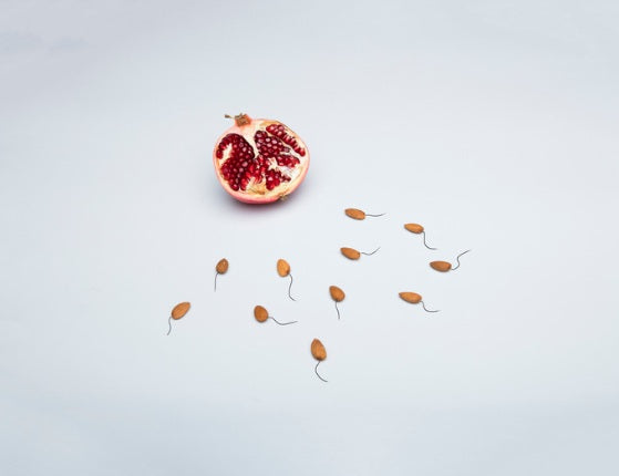 Male Series: Sperm Cells