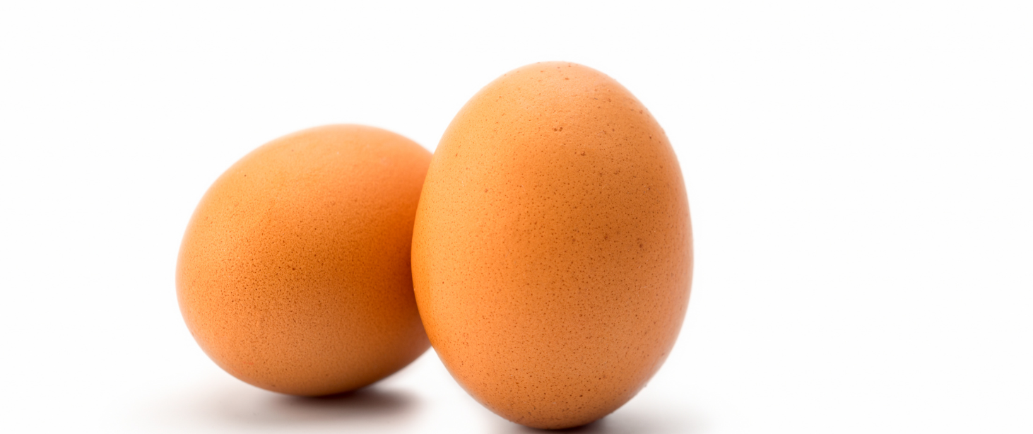 The Egg: What It Is and Why It Matters