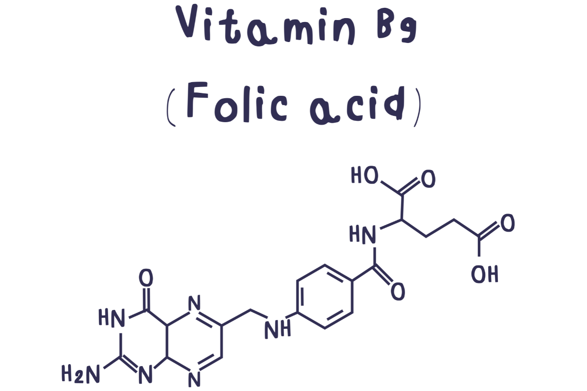Folate vs. Folic Acid: Why It’s Essential for Conception & Early Pregnancy