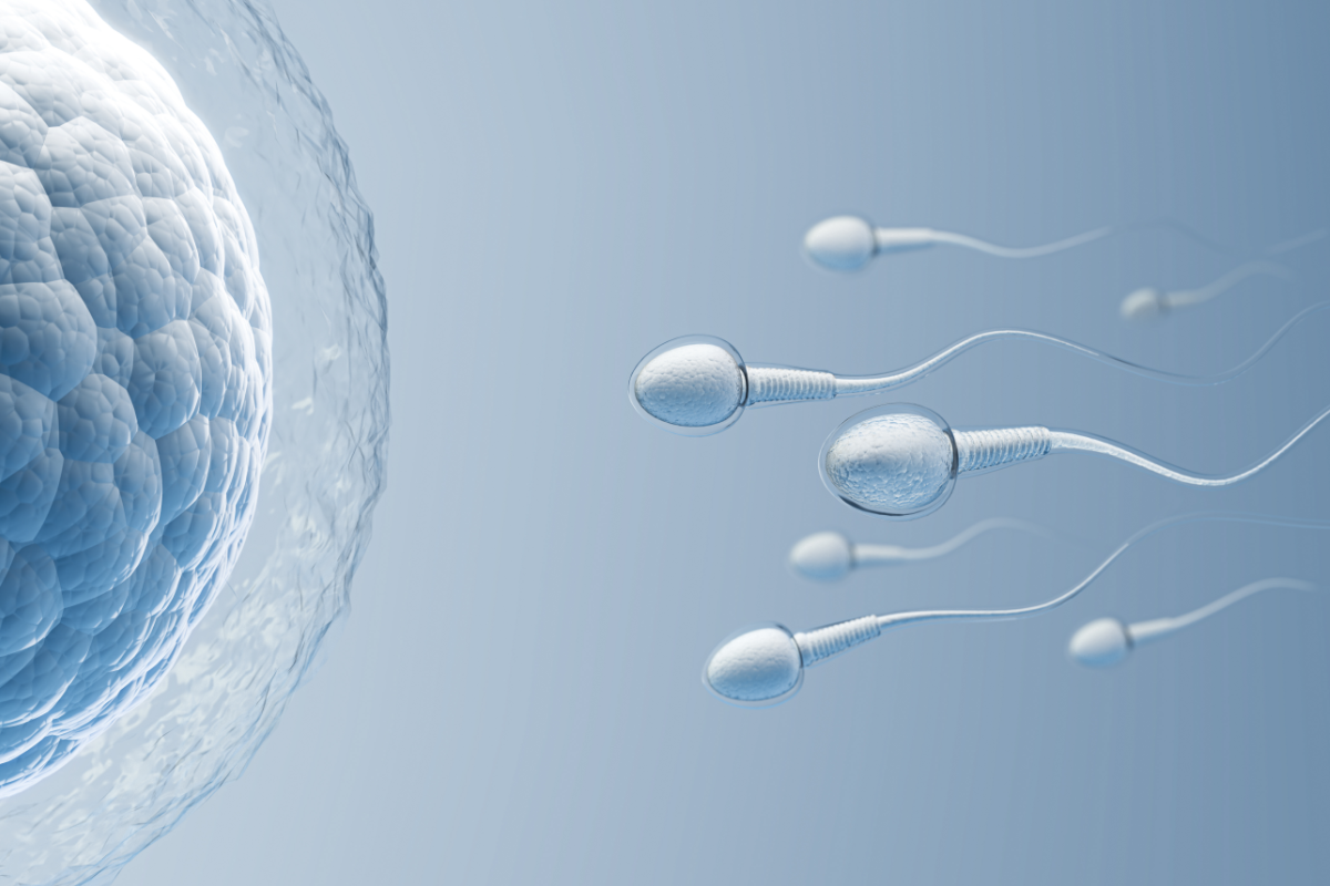 Male Fertility: The Best Nutrients to Support Sperm Health